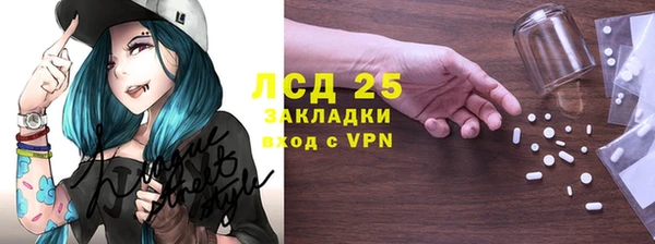 индика Няндома