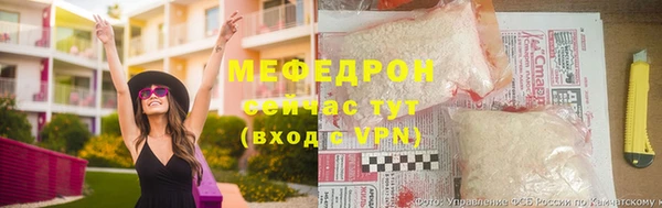 индика Няндома