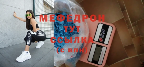 индика Няндома