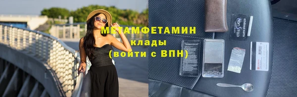 индика Няндома
