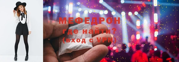 индика Няндома