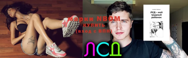 индика Няндома