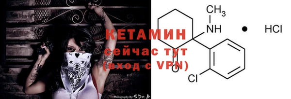 индика Няндома