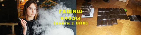 индика Няндома