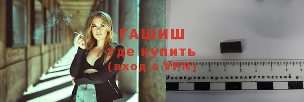 индика Няндома