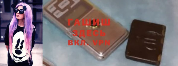 индика Няндома