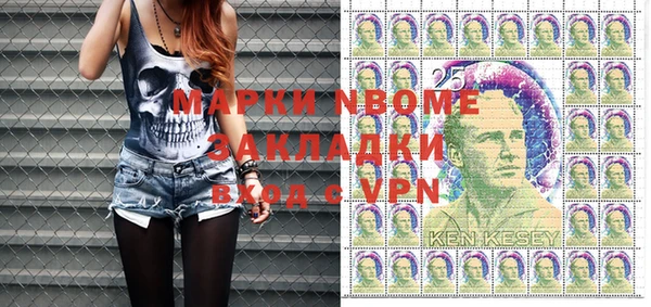 индика Няндома