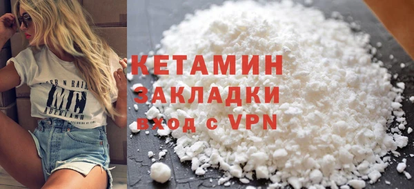 индика Няндома