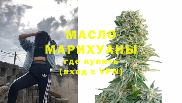 индика Няндома
