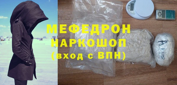 индика Няндома