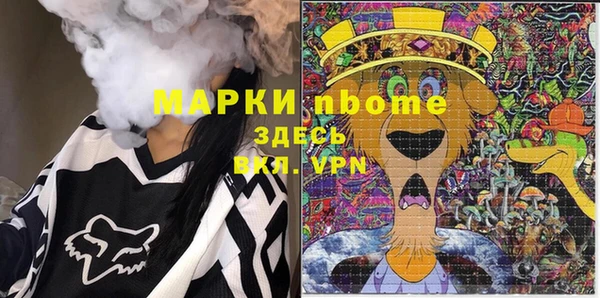 индика Няндома