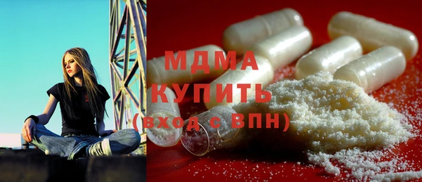 индика Няндома
