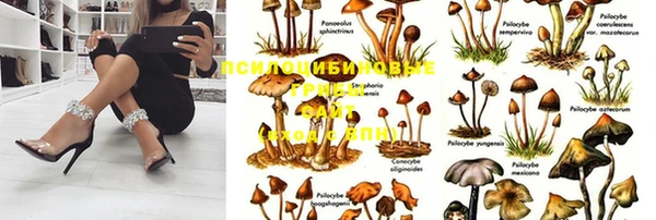 каннабис Нягань