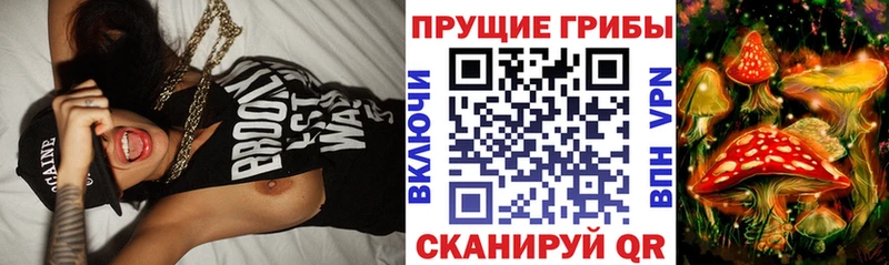 Галлюциногенные грибы мухоморы Северодвинск