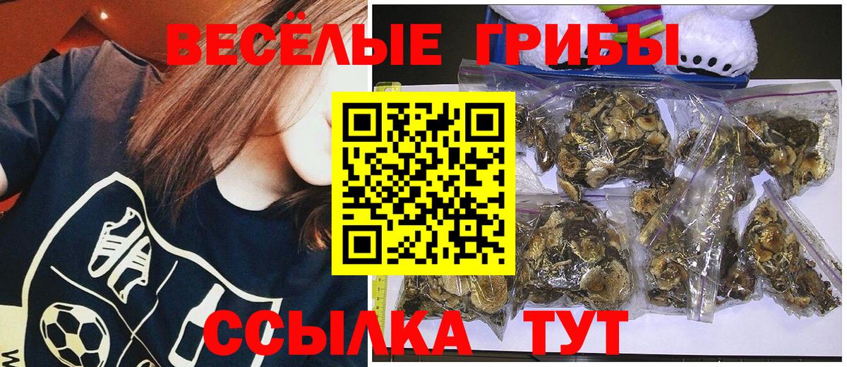 Галлюциногенные грибы MAGIC MUSHROOMS Северодвинск