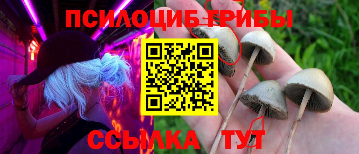 Северодвинск  как найти закладки  Псилоцибиновые грибы мицелий  Вход с VPN  Галлюциногенные грибы Magic Shrooms 