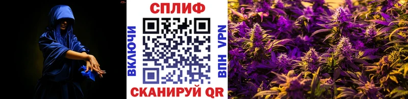 мориарти состав  Северодвинск  Бошки марихуана тримм 